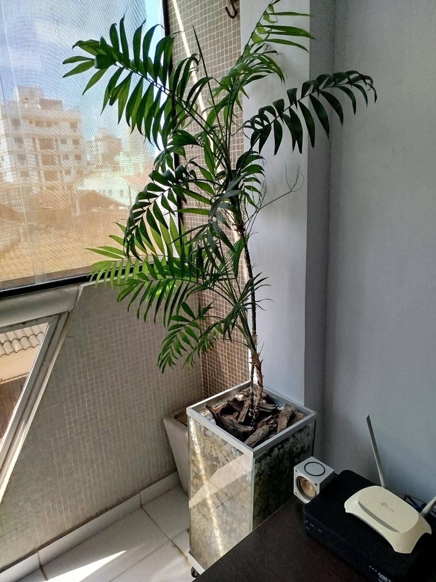 Apartamento Impecavel Na Enseada Гуаружа Экстерьер фото